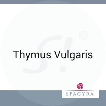 Thymus Vulgaris Spagyra Urtinktur 50 ml