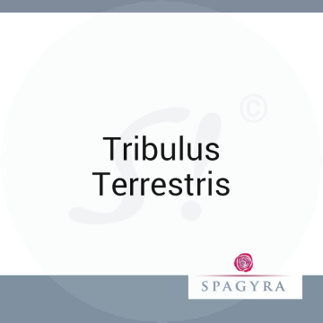Tribulus Terrestris Spagyra D 6 Dilution 10 ml