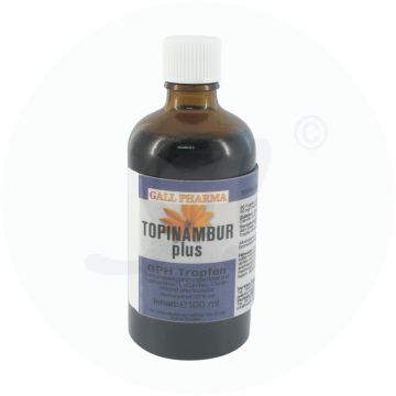 Gall Pharma Topinambur Plus Tropfen 100 ml