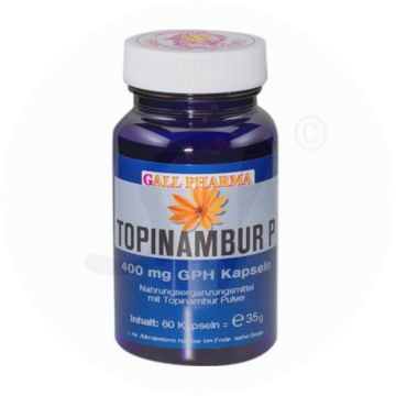 Gall Pharma Topinambur P Kapseln 120 Stk.