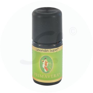 Primavera Ätherisches Öl Lavandin 5 ml