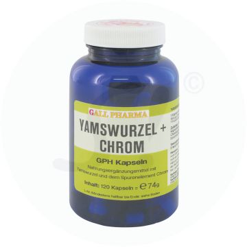 Gall Pharma Yamswurzel plus Chrom Kapseln 120 Stk.
