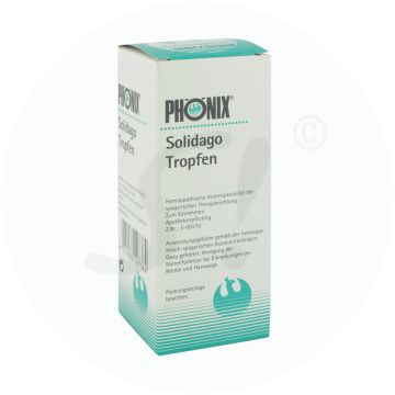 Phönix Solidago Spag.