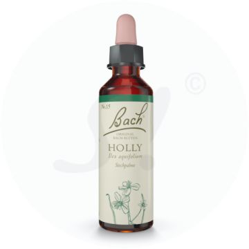 Bachblüte Nr. 15 Holly Tropfen 