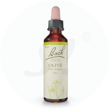 Bachblüte Nr. 23 Olive Tropfen 