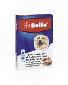 Bolfo Zecken- und Flohschutzhalsband für Katzen/kleine Hunde 1 Stk.