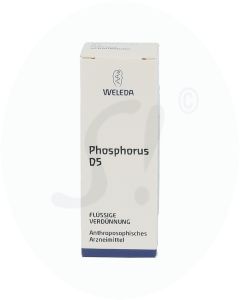 Weleda Phosphor D 5 Dilutum 20 ml D 5 Dilutum