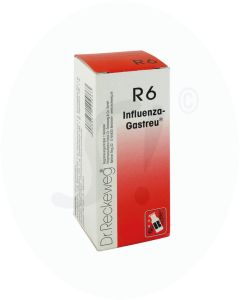 Influenza Gastreu R6 Tropfen 50 ml