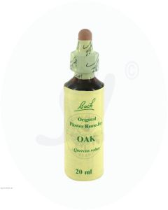 Gall Pharma Bachblüten 22 Oak 20 ml