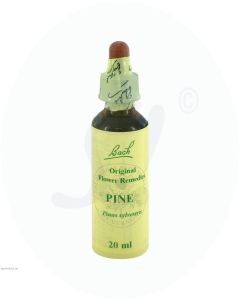 Gall Pharma Bachblüten 24 Pine 20 ml