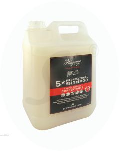 Hagerty 5 Stern Professional Shampoo 5 L