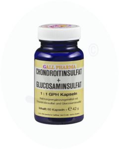 Gall Pharma Chondroitin plus Glucosamin Kapseln 1:1