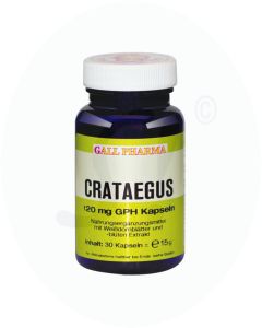 Gall Pharma Crataegus 120 mg Kapseln