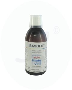 Basofit Basen Konzentrat Ph 13
