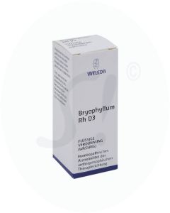 Weleda Bryophyllum D 3 RH Dilutum 20 ml