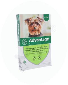 Advantage 40 mg für Hunde  4 Stk.
