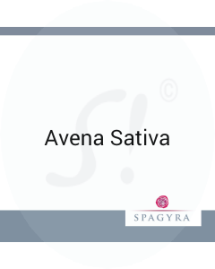 Avena Sativa Spagyra 10 ml C 200