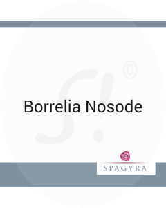 Borrelia Nosode Spagyra 10 ml D 20 Globuli