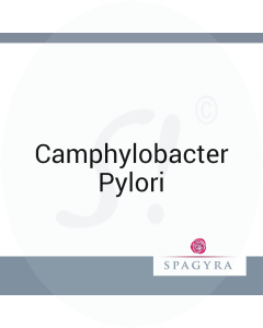 Camphylobacter Pylori Spagyra D 200 Globuli 10 ml