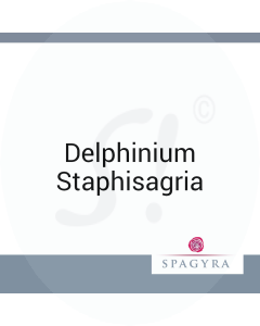 Delphinium Staphisagria Spagyra 20 ml Q 20 Dilution