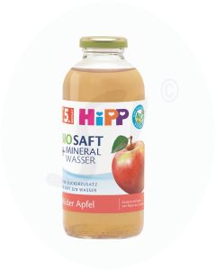 Hipp Bio-Saft & Mineralwasser Milder Apfel 500 ml