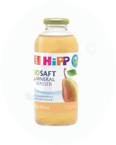 Hipp Bio-Saft & Mineralwasser Milde Birne 500 ml