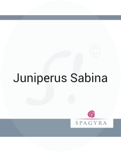 Juniperus Sabina Spagyra 1000 ml Urtinktur