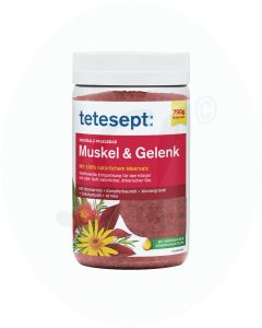 Tetesept Meersalz Bad Muskel & Gelenke 750 g