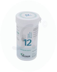 Pflüger Dr. Schüßler Nr. 12 Calcium Sulfuricum 100 g