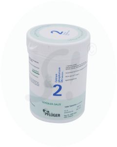 Pflüger Dr. Schüßler Nr. 2 Calcium Phosphoricum 250 g