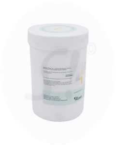 Pflüger Dr. Schüßler Nr. 1 Calcium Fluoratum 1 kg