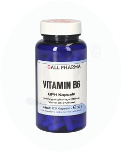 Gall Pharma Vitamin B6 Kapseln 