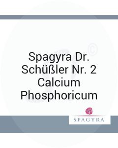 Spagyra Dr. Schüßler Nr. 2 Calcium Phosphoricum Spagyra 20 ml D 6 Globuli