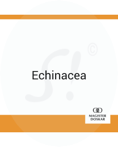 Echinacea Doskar 100 ml D 6 Dilution