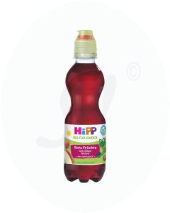 Hipp Getränk St Mineralquellenprodukt 300 ml Rote Früchte