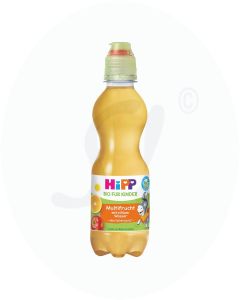 Hipp Getränk St Mineralquellenprodukt 300 ml Multifrucht