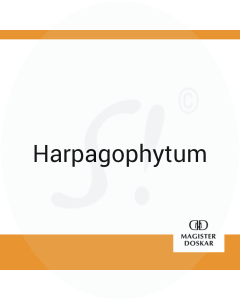 Harpagophytum Doskar 10 g D 36 Globuli