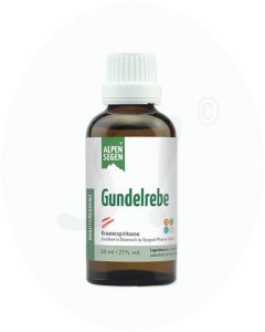 Alpensegen Gundelrebe Kräuteressenz 50 ml
