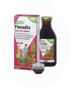 Floradix Eisen Tonikum Kind 250 ml