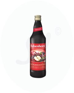 Rabenhorst Antioxidantien Saft 750 ml