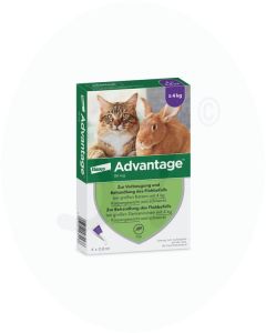 Advantage 80 mg für große Katzen und Zierkaninchen ab 4 kg 