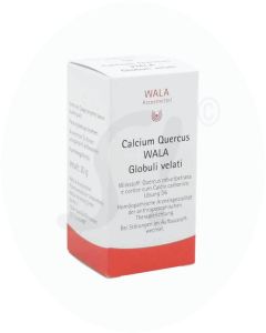 Calcium Quercus Globuli velati 20 g