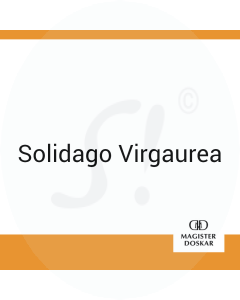 Solidago Virgaurea Doskar C 15 Globuli 10 g