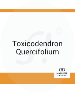 Toxicodendron Quercifolium Doskar 250 g C 3 Globuli