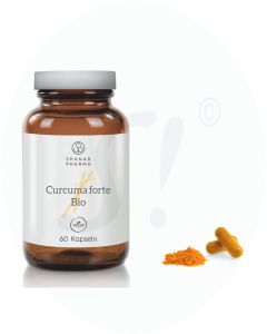 Curcuma Forte Bio + Bioperine Kapseln 60 Stk