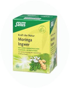 Salus Moringa Ingwer Bio Kräutertee 15 Stk.