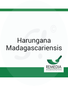 Harungana Madagascariensis Remedia D 6 Globuli 10 g