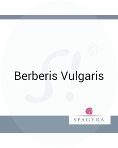 Berberis Vulgaris Spagyra 10 ml C 6 Globuli