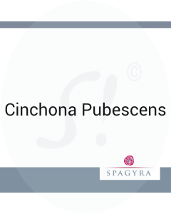 Cinchona Pubescens Spagyra 10 ml D 4 Globuli