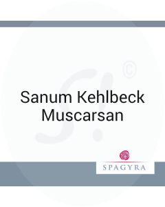 Sanum Kehlbeck Muscarsan D 6 80 ml Tabletten
